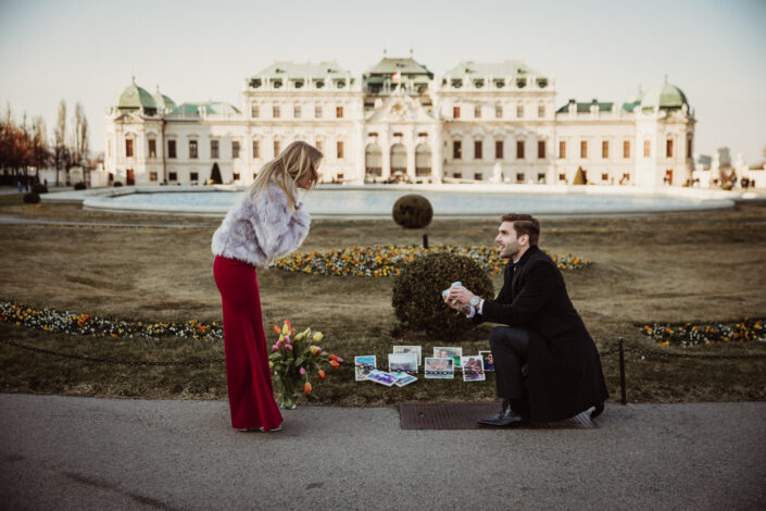 Proposal in Vienna